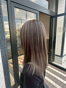 アースオーセンティック 扶桑店(EARTH Authentic) ハイライト