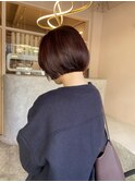 ワインレッドボブレイヤー