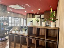 ミル(mill)の雰囲気（明るい店内では観葉植物がお出迎え♪）