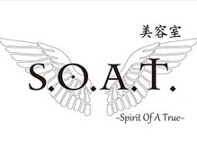 ソート(S.O.A.T.)
