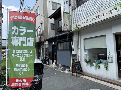 サンナナオーガニックカラー(37 organic color)の写真