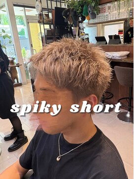 ペイドゥリーヴ(Pays de Reve) スパイキーショート