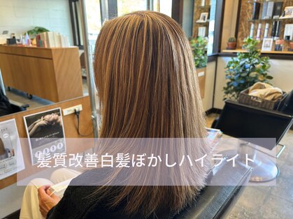 グランツ(GLANZ)の写真