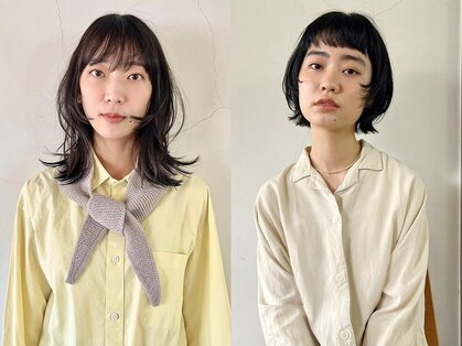 タヴィ(Tavi)の写真