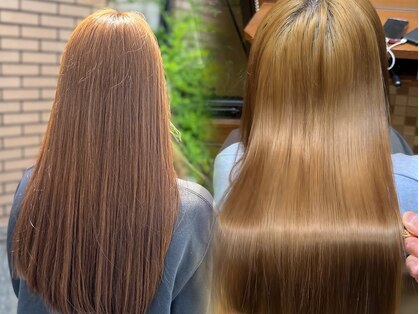 ヘア ショップキャリーの写真