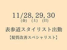 アメリア(ameria)