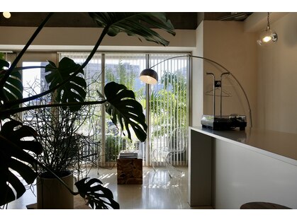 ヨウ(YEAU)の写真