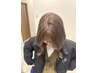 【実結限定】《更に透明感欲しい方に》ブリーチなしダブルカラー＋カット