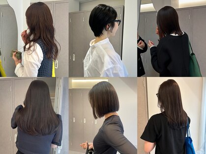 ソウ(sou)の写真