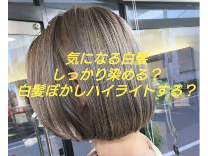 アッシュヘアーの写真