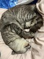 リフ(LIF by MIRROR TALK) 将来は猫を10匹飼いたいです!!