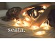 シータ(seata)の写真