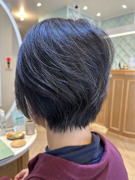 アンフィ 矢向(Anphi) 12-3 ショート