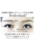 【アイリスト指名限定】特許技術perfectlash付け放題