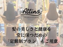 アティーナ 横浜元町店(Attina)の雰囲気（【定額制プランもご用意】常に髪の健康と美しさを保つために◎）