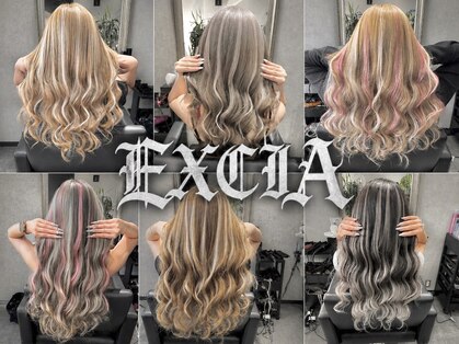 エクシア(EXCIA)の写真
