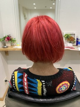 ドアーズ(Doors) ブリーチオンカラー