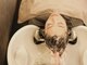 ヤエ 松山(YAE)の写真/頭浸浴を使ったYAE独自のリラクゼーションSPAで日常生活に癒しを。頭皮環境を整え芯から丈夫な髪へ。