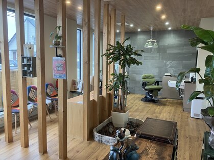 カプセル(kapsel)の写真