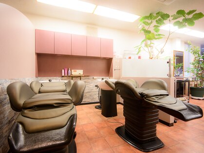 ロジックの写真