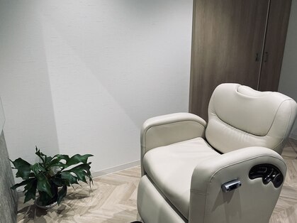 モッキ(mokki)の写真