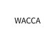 ワッカ(WACCA)の写真