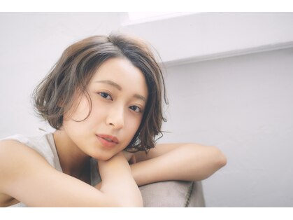 ステラ(STELLA)の写真