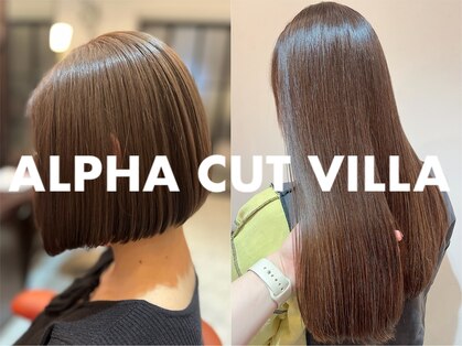 アルファ VILLA店(ALPHA)の写真