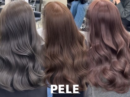 ペレ 栄 アネックス(PELE栄ANNEX)の写真