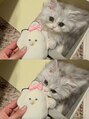 ユヌ(Une) ミヌエットのおしゃけくんと一緒に暮らしてます^^札幌/大通