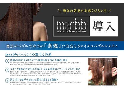 クロレ(CLORE)の写真