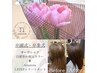 春◇限定【白髪根元カラー×Amatora３STEPトリートメント】￥14,850→￥10,450