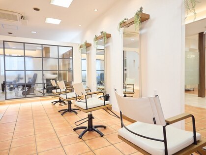 ムーサ(MUSA)の写真