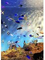 ハーベストガーデン(HARVEST GARDEN) 趣味は旅行(^^)水族館も大好き(^^)