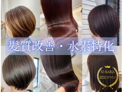 ブランシュ(Blanche)の写真