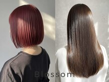 ブロッサム 上福岡店(Blossom)