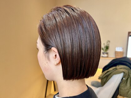 シバ(siba)の写真