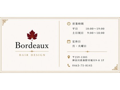 ボルドー(Bordeaux)の写真