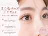 上下まつげパーマ ケラチントリートメント&コーティング付き☆¥7000