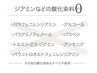 【敏感肌必見】 カット＋ノンジアミンカラー　￥１１０００