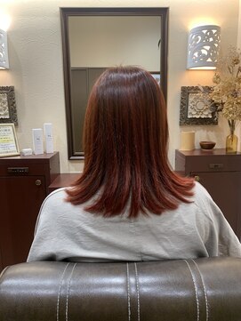 ドリーバンスアポロ 秦野 セミロング