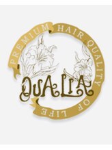 クオリア(QUALIA) QUALIA 柏