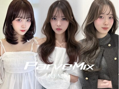 パーヴミックスネム(ParveMix NEMU)の写真