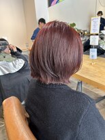 プロスタンセラ&nbsp;深みレッドカラ