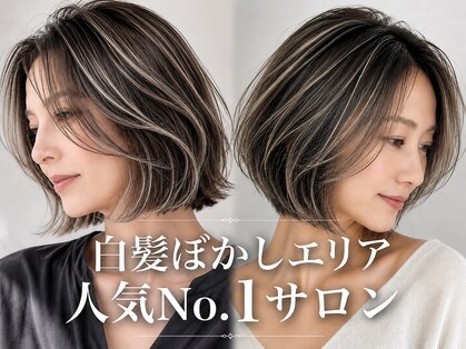 レノマ(renoma)の写真
