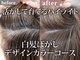 ルルン(Lu-Lun)の写真