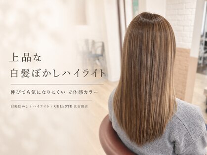 セレスト 江古田店(CELESTE)の写真