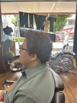 ツイン&nbsp;プードルアフロ