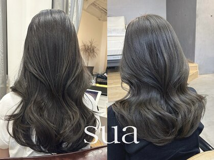 スア(sua)の写真