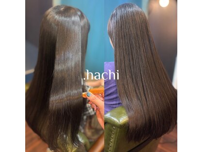 ハチ(.hachi)の写真